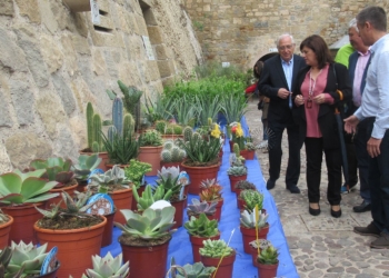 imbroda ventura flora melilla Flores para una actividad de 'plena inclusión'