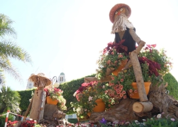 melilla en flor celebra la llegada de la primavera Melilla en Flor celebra la llegada de la primavera