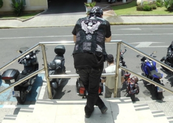 244583 Nuevos ángeles guardianes (y rugidores)