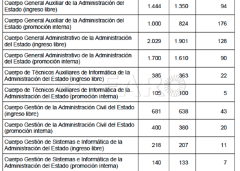 Captura de pantalla 2019 06 17 a las 14.05.24 La Administración General del Estado convoca hoy procesos selectivos para cubrir 8.102 plazas