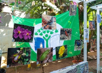 bandera verde ecoescuelas ies rusadir melilla La Bandera Verde Ecoescuelas ondea en el patio para certificar el buen trabajo y la constancia