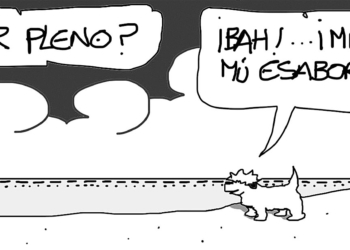 Sábado 20 de julio de 2019