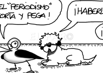 240519 Sábado 24 de agosto de 2019