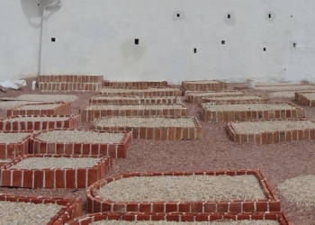 Cementerio judío de La Alcazaba