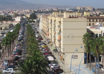 IMG 5823 Melilla suma dos años y medio sin registrar casos de rabia