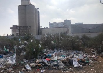 denuncia basura acumulada melilla Ecologista denuncia la basura acumulada en las áreas verdes de Melilla