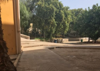 en2 1 El Enrique Nieto ya está “en condiciones óptimas”: la AMPA dice que está limpio