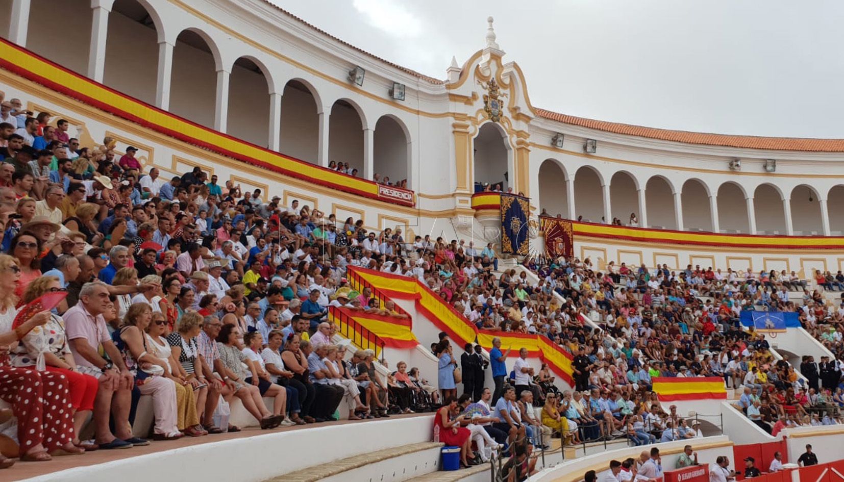 Festejos trabajará para que los toros no tengan subvención el próximo año