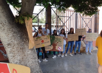 Podas Rebelión por el Clima se concentra contra la "poda agresiva" de los árboles