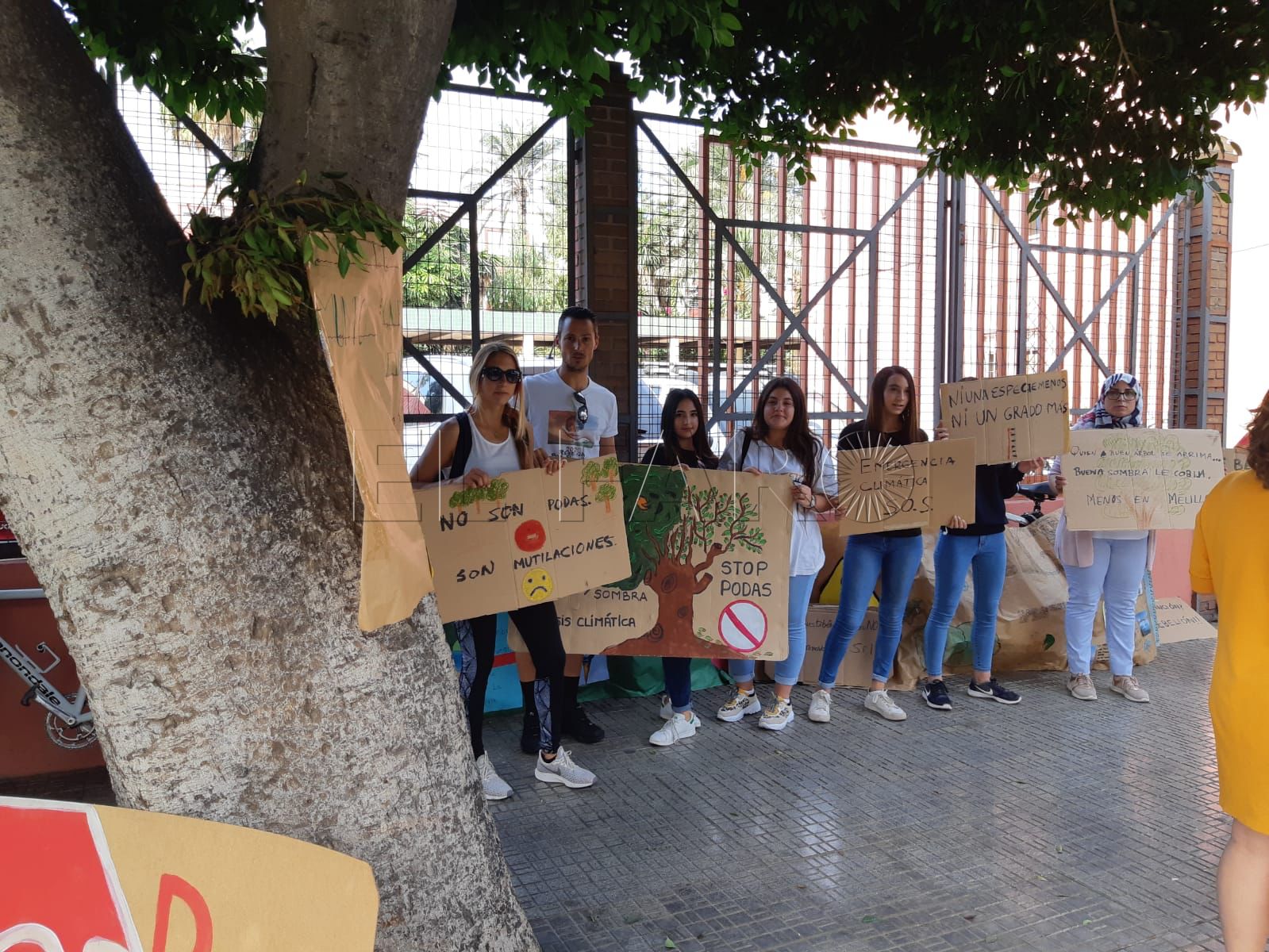 Rebelión por el Clima se concentra contra la "poda agresiva" de los árboles