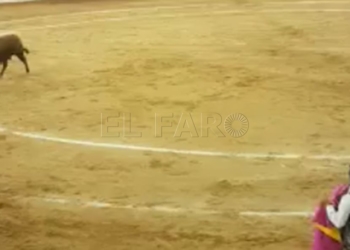 lidia ilegal melilla La empresa del festejo taurino dice que se lidió a los toros conforme a la normativa