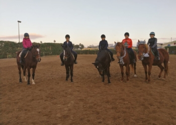 EMd5Ky8WkAEqVAq La Hípica felicita las fiestas navideñas