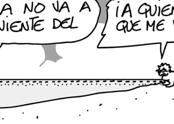 ml081219 Domingo 8 de diciembre de 2019