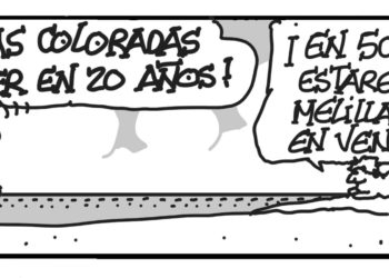 ml171219 Martes 17 de diciembre de 2019