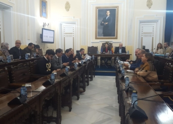 pleno asamblea plan gobierno ampliacion El PP pregunta por el Plan de Gobierno, la Ciudad dice tenerlo