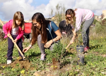 Los melillenses inician el 2020 plantando un árbol Guelaya inicia 2020 con una plantación para renaturalizar el río de Oro