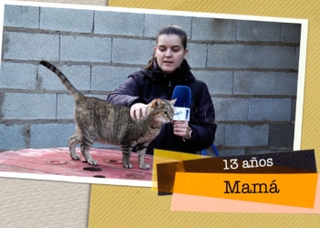 Mamá busca hogar Mamá busca hogar