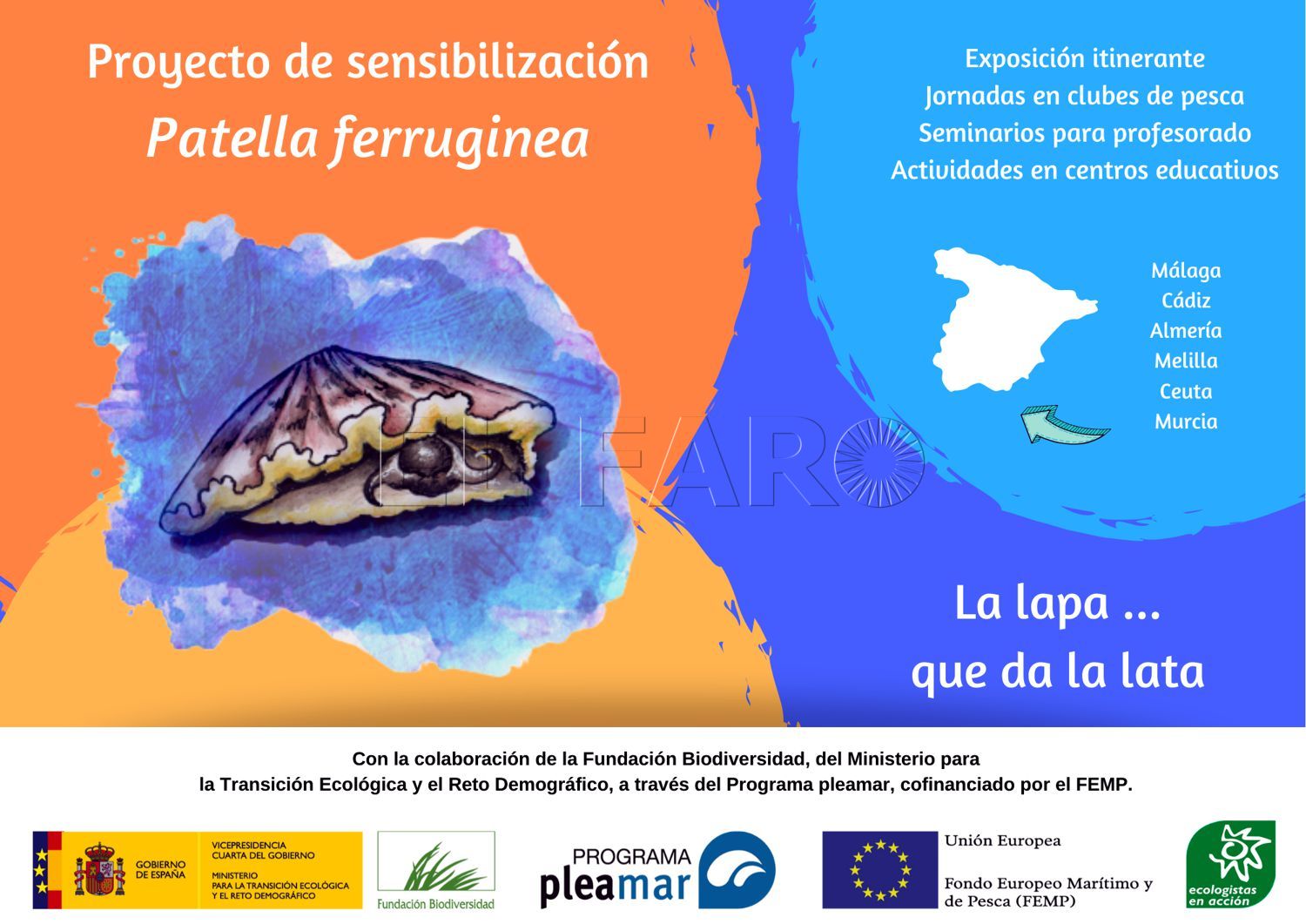 ‘La lapa que da la lata’, un proyecto para dar a conocer y proteger la Patella ferruginea