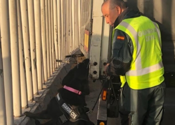 fiona y gerardo guardia civil melilla El servicio canino de la Guardia Civil localizó 858 personas en el puerto comercial en 2019