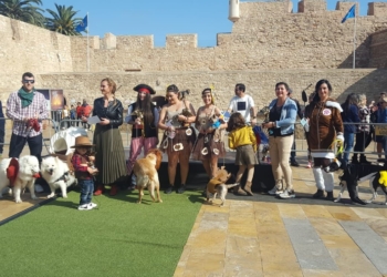 ganadores concurso mascotas carnaval Las mascotas lucen sus mejores trajes en carnaval