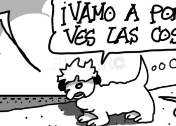 Miércoles 26 de febrero de 2020