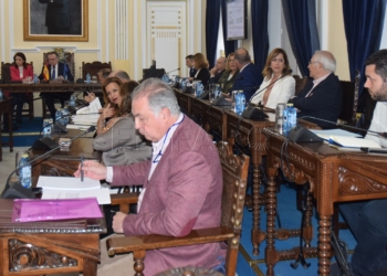 pleno escoz delgado Aprobados los Presupuestos de 2020 con el apoyo de Delgado Aboy