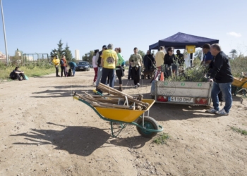El 15 de febrero Guelaya realiza una reforestación en el Barranco del Nano