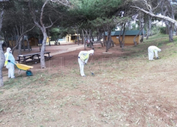 rostrogordo desinfeccion Infraestructuras cede instalaciones deportivas para atender a menores