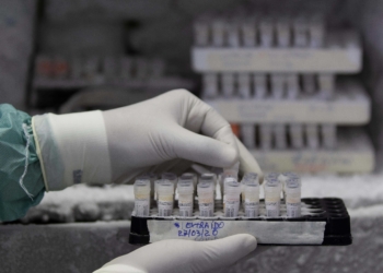 Los laboratorios tienen identificados hasta una treintena de medicamentos potenciales, de los cuales 14 est·n en la fase inicial de investigaciÛn; otros cuatro en la fase I de desarrollo y tres en la fase II, y uno ha comenzado los ensayos de fase III, la ˙ltima antes de su aprobaciÛn. EFE/ JoÈdson Alves
