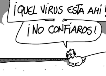 Miércoles 20 de mayo de 2020
