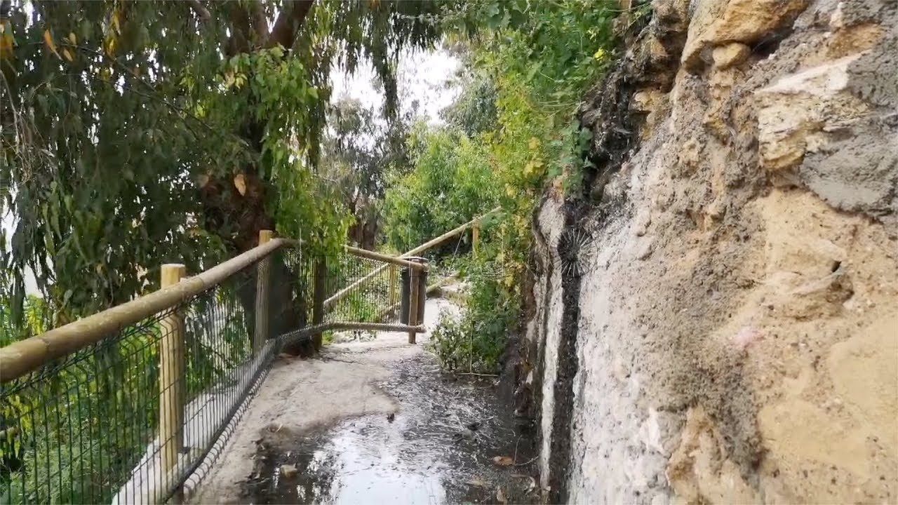 unidas podemos denuncia el abandono sistematico del suelo verde en melilla Unidas Podemos denuncia el abandono sistemático del suelo verde en Melilla