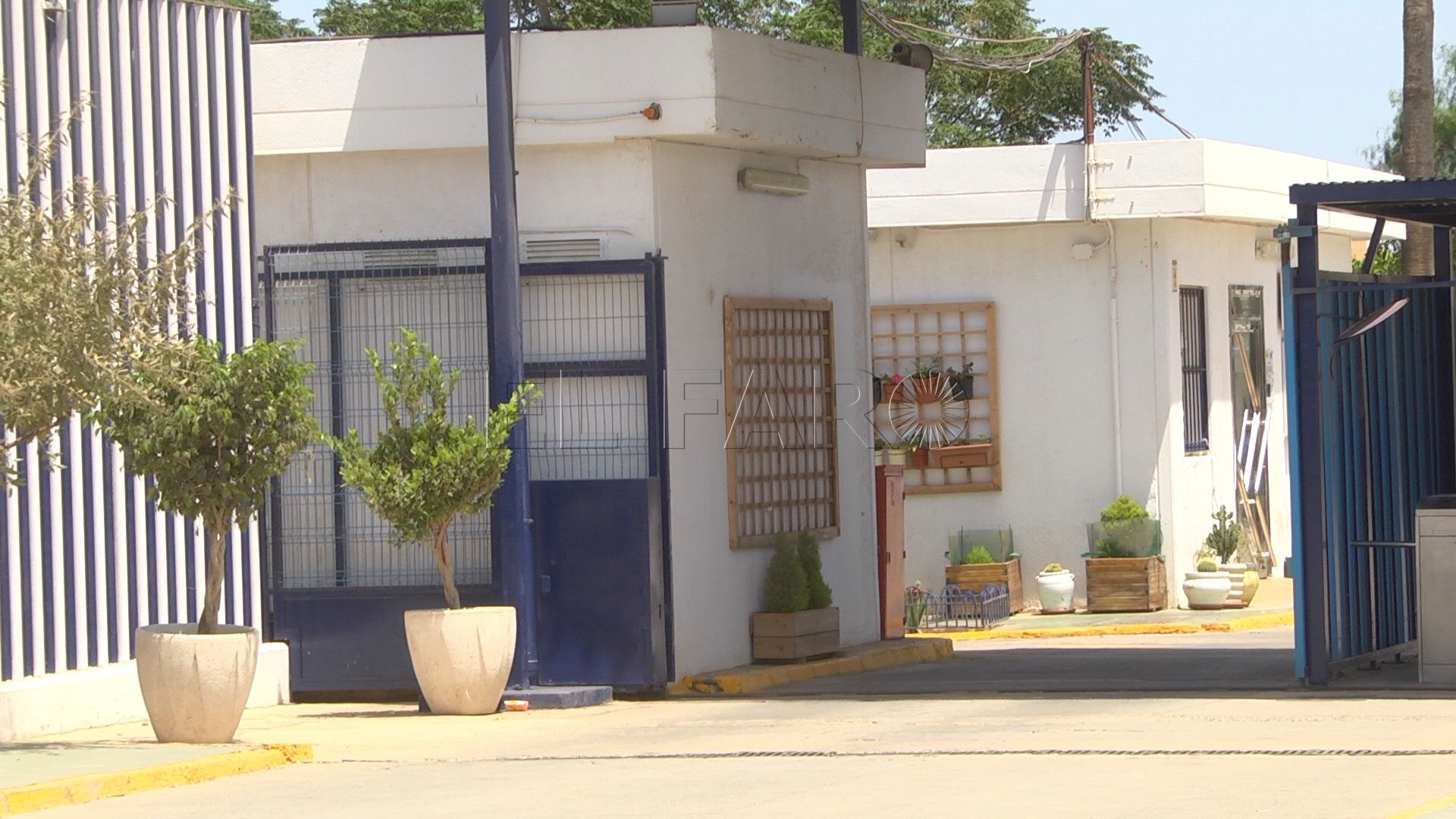 13 La delegación al CETI de la guarda de menores evita separar a niños de sus familias