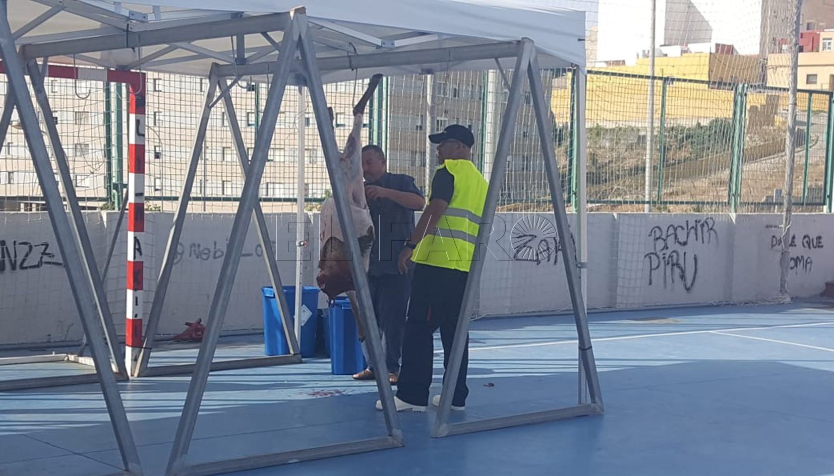 borrego sacrificio web Melilla importará 4.000 borregos de la península