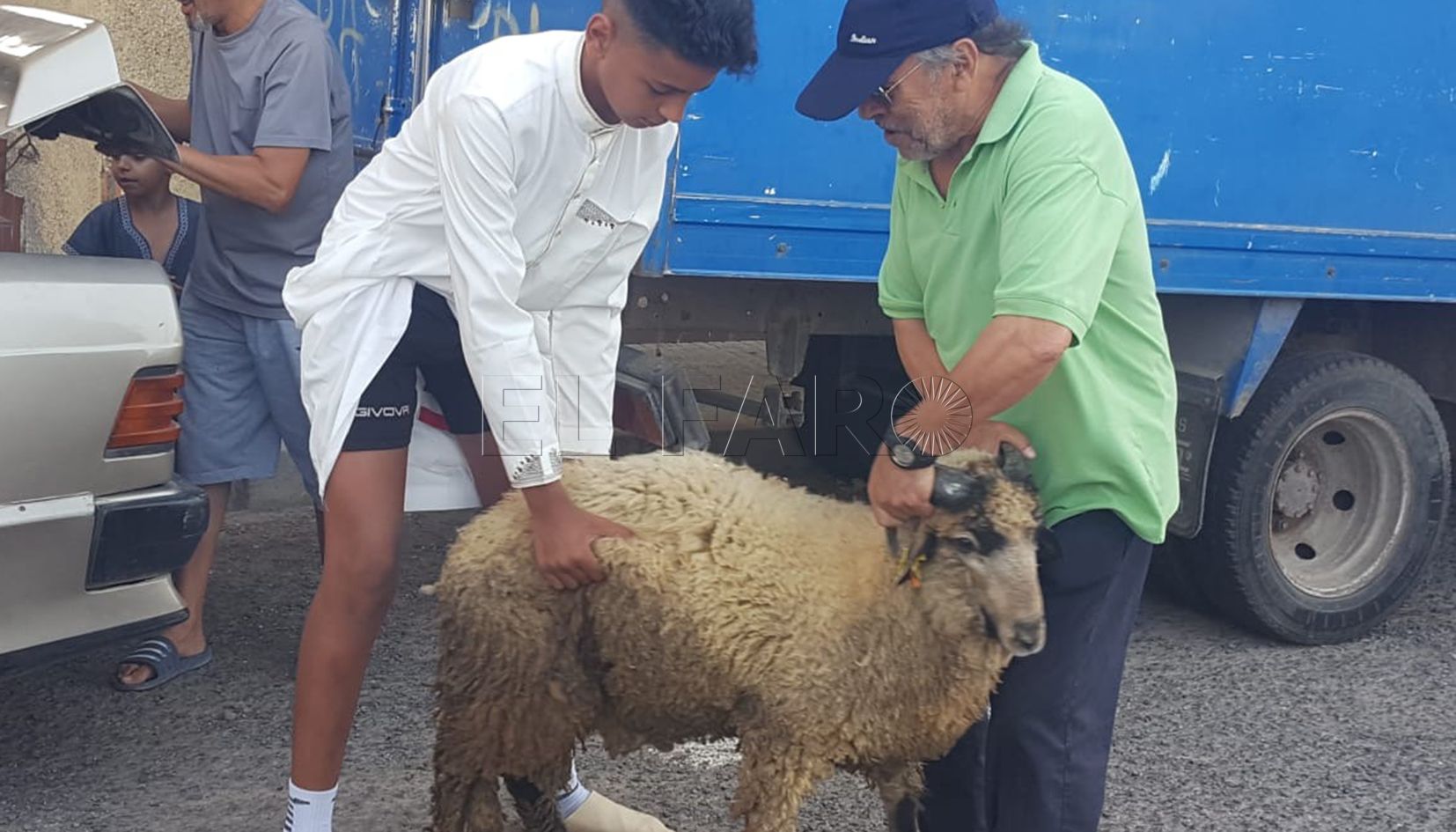 borrego web Ceuta ha visto "restricción" en el informe veterinario y en Melilla, una "oportunidad"