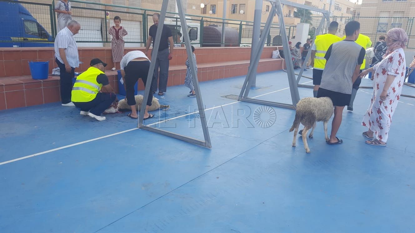 carpas sacrifico aid el kebir Melilla se prepara para el Aid El Kebir: habrá diez carpas distribuidas en cinco zonas de la ciudad