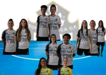 24D 1 Comités profesionalizados en futsal