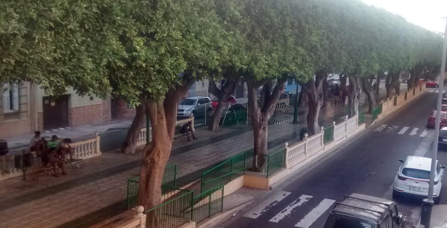 aizpuru 1 De Castro dice que los migrantes están en la plaza de toros porque no hay otro espacios