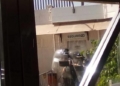 da57204e 1b72 4764 a793 5e718f86f6ff Motín en el CETI de Melilla: Nueve agentes heridos y 26 residentes detenidos