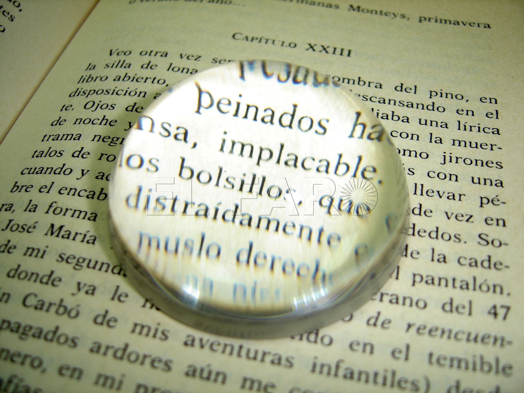 word 1559205 Diccionario para una pandemia Tomo II-4