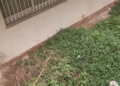4 1 Vecinos del Tesorillo denuncian que una alcantarilla rota les tiene sin vivir