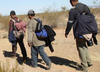 well 15 Inmigración y cooperación internacional al desarrollo