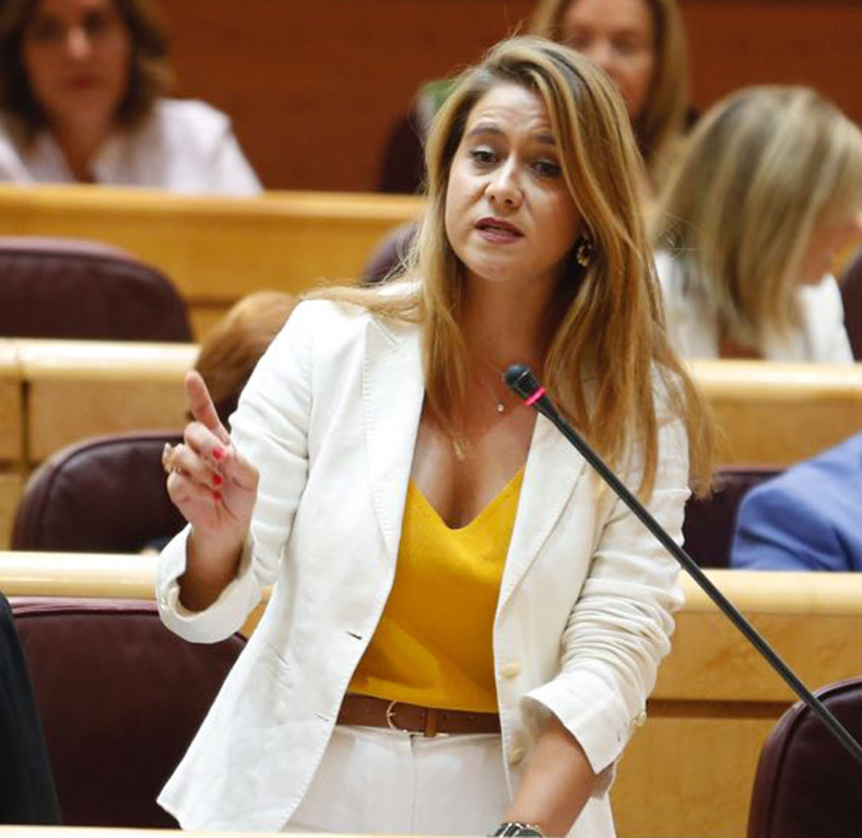 El discurso ultra de Sofía Acedo