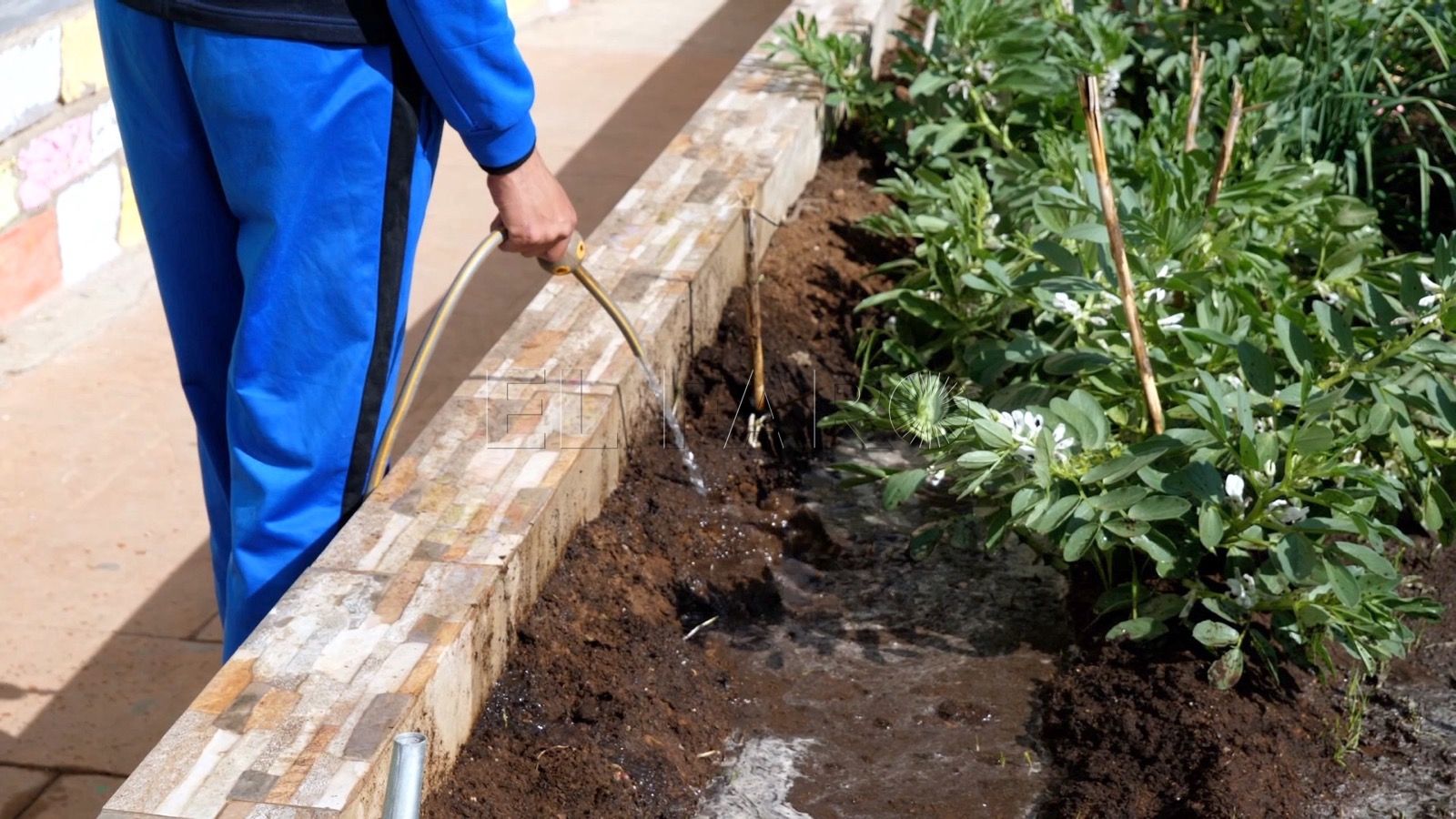 aspanies plena inclusion proyecto piso tutelado Aspanies Plena Inclusión pone en marcha el proyecto del piso tutelado