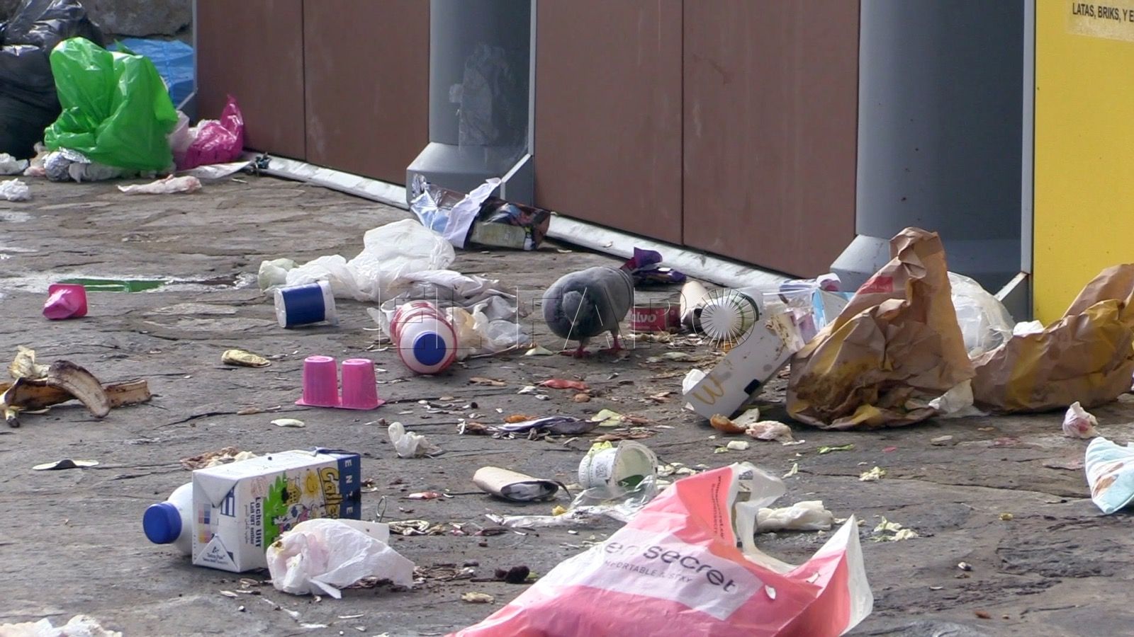 basura Medio Ambiente tendrá un servicio de inspectores para fiscalizar las labores de las empresas que trabajan con esta Consejería