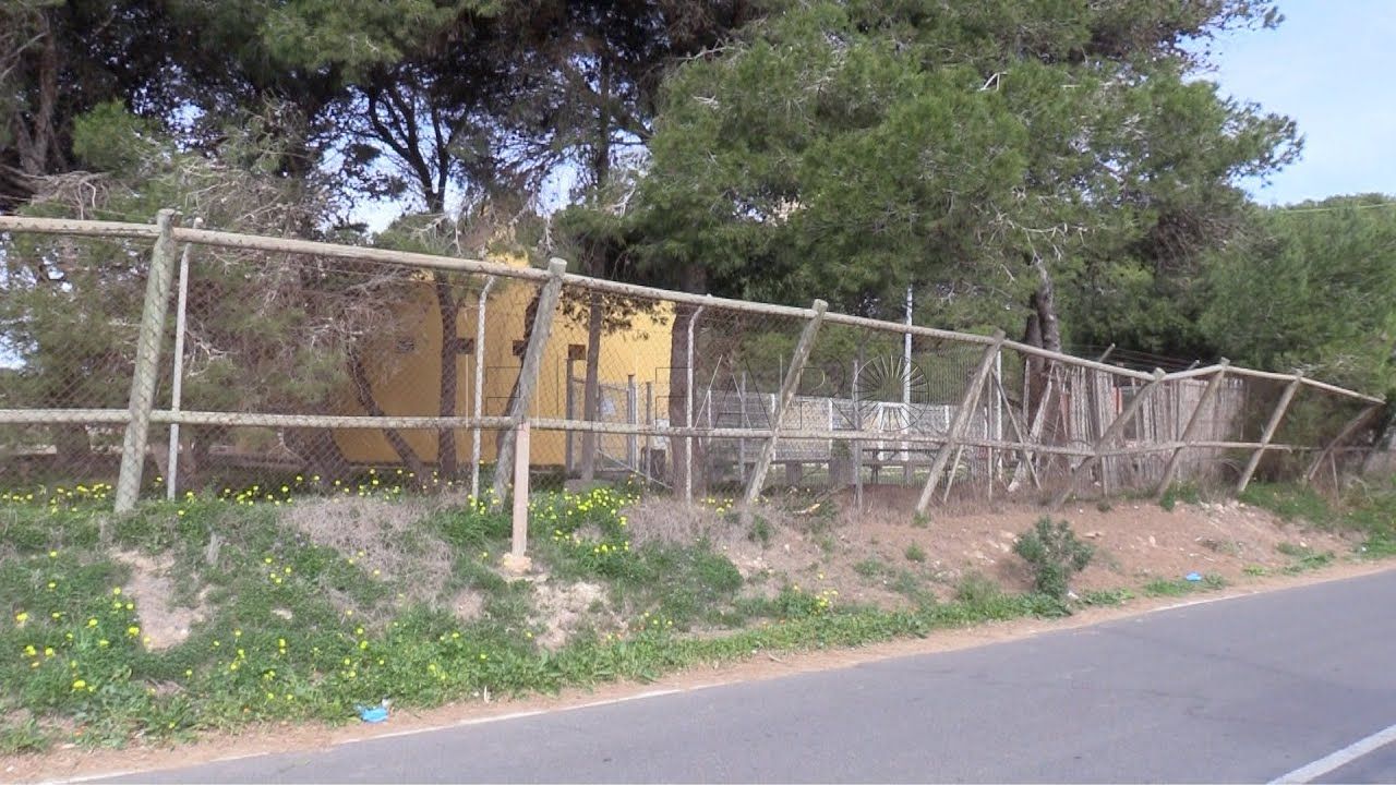 el seprona abre diligencias sobre el robo de aves en rostrogordo El Seprona abre diligencias sobre el robo de aves en Rostrogordo