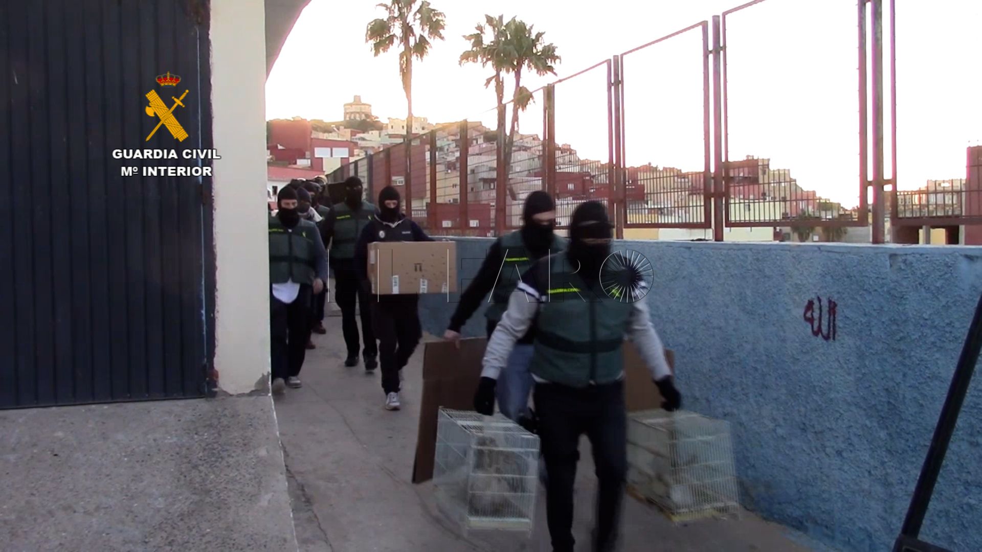 op rescate rapaces melilla .Imagen fija003 La Guardia Civil rescata en La Cañada a las aves de 'El Quinto' robadas