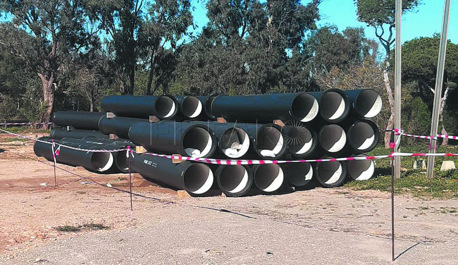 tubos Medio Ambiente hará “una plantación masiva” de árboles en la ciudad
