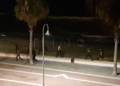 WhatsApp Image 2021 05 18 at 07.37.32 2 Entrada en Melilla de madrugada: acceden 85 hombres y una mujer y hay 3 guardias civiles heridos