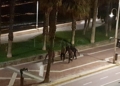 WhatsApp Image 2021 05 18 at 07.37.35 Entrada en Melilla de madrugada: acceden 85 hombres y una mujer y hay 3 guardias civiles heridos