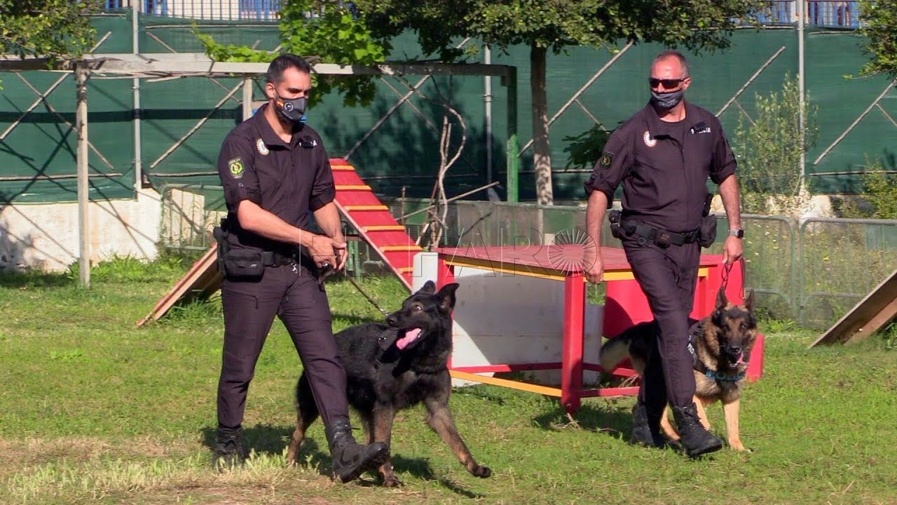 los agentes del grucan preparados para hacer patrulla en la ciudad Los agentes del GRUCAN, preparados para hacer patrulla en la ciudad